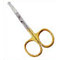 Probe Scissors
