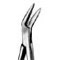 Surgical Clips