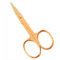 Cuticle Nail Scissors