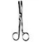 Surgical Scissors