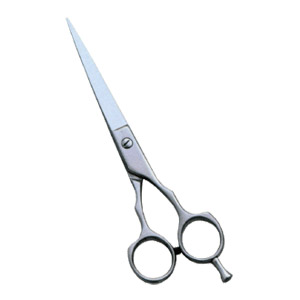Barber Scissors