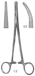 Adson Forceps 18cm 1:2