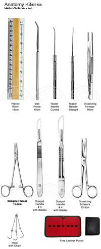 Anatomy Kit