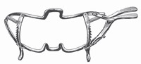 Whitehead Mouth Gag