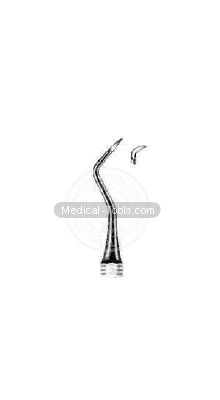 Dental Scalars  