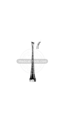 Dental Scalars  