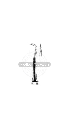 Dental Scalars   