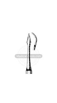 Dental Scalars Fig 2