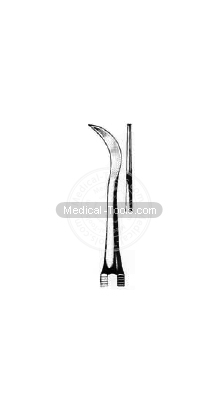 Dental Scalars Fig 32