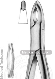 American Extracting Forceps No. 213