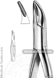 American Extracting Forceps No. 2