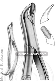 American Extracting Forceps No. 20 R