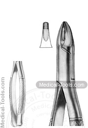 American Extracting Forceps No. 30 S
