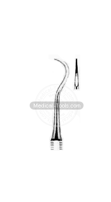 Dental Black Scalars 
