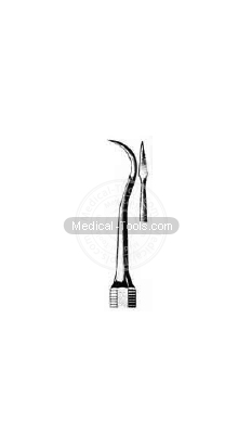 Dental Black Scalars Fig 11