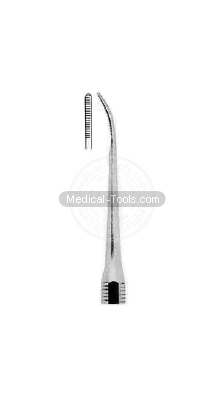Dental Bunting Scalars Fig 14