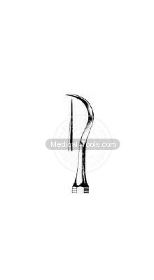 Dental Darby Perry Scalars  