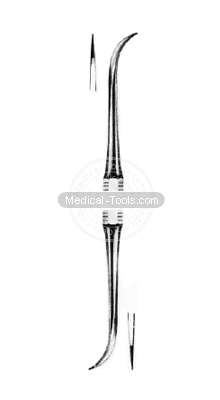 Dental Scalars  