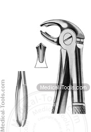 English Extracting Forceps No. 22