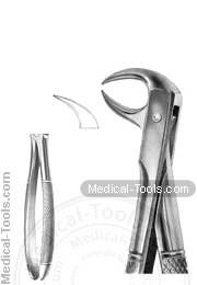 English Extracting Forceps No. 86 B