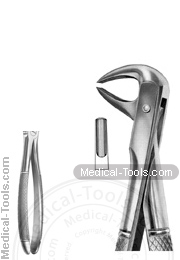 English Extracting Forceps No. 75