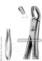 English Extracting Forceps No.103L