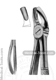 English Extracting Forceps No. 18 B