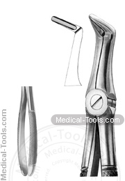 English Extracting Forceps No.49