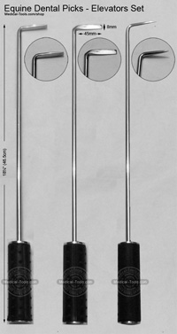 Equine Dental Picks - Elevators Set