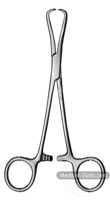 Glenoid Perforating Forceps - 6�"