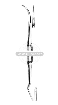 Dental Globe Scalars 