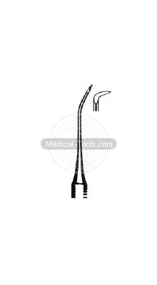 Dental Guy Scalars   