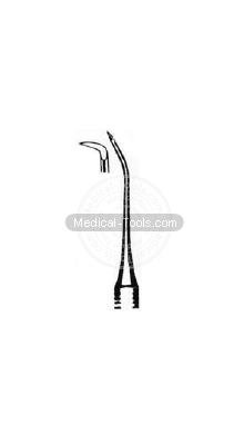 Dental Guy Scalars   