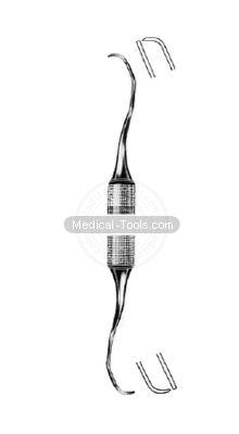 Dental Langer Scalars Fig 1/2