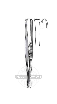 Lerche Thump Forceps 