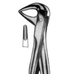 Forceps for Lower  Roots No. 74 M