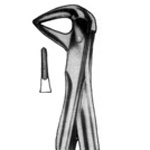 Forceps for Lower  Roots No. 74 N