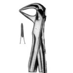 Forceps for Lower  Roots & Crowded Incisors No. 74 XN