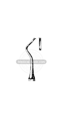 Dental McCall Scalars 