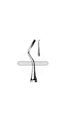 Dental McCall Scalars  