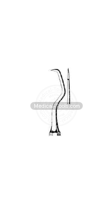 Dental McCall Scalars  