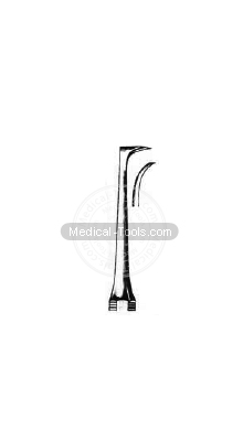 Dental Morre Scalars 
