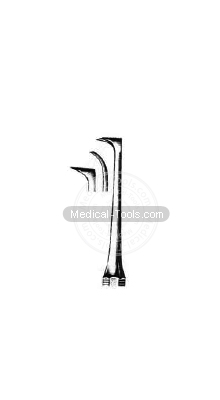 Dental Morre Scalars 