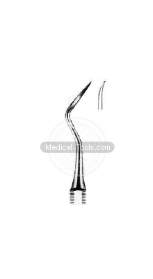 Dental Muehlemann Scalars 