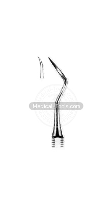 Dental Muehlemann Scalars 