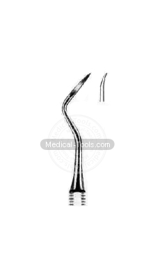 Dental Muehlemann Scalars