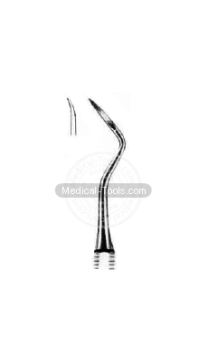 Dental Muehlemann Scalars