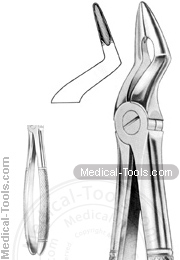 English Extracting Forceps No.216
