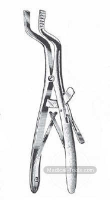 Roser Koenig 16cm