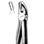 Forceps for Upper Molars  No. 18 B